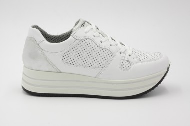 SPORTS SHOES IGI&CO 5165611
